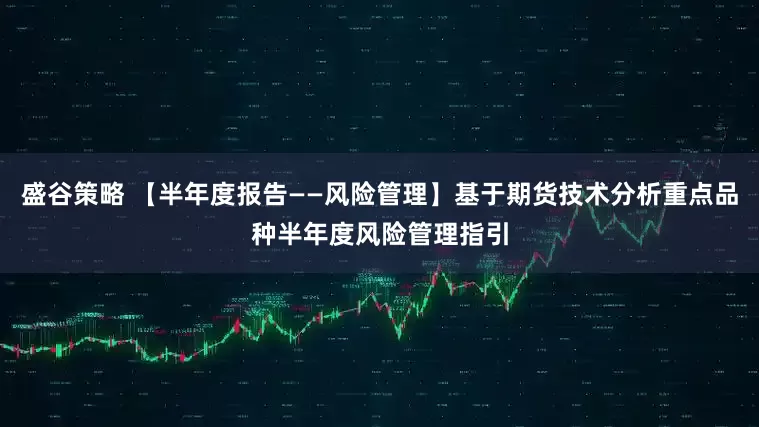 盛谷策略 【半年度报告——风险管理】基于期货技术分析重点品种半年度风险管理指引