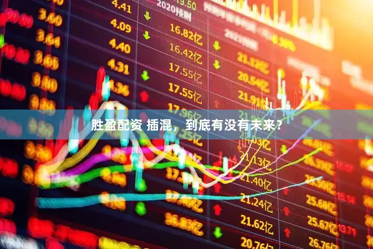 胜盈配资 插混，到底有没有未来？